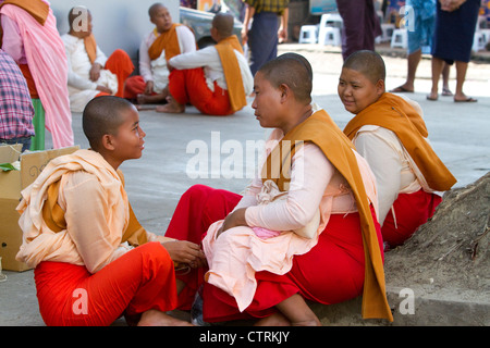 Young Buddhist nuns socialize in (Rangoon) Yangon, (Burma) Myanmar. Stock Photo