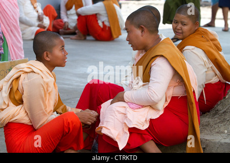 Young Buddhist nuns socialize in (Rangoon) Yangon, (Burma) Myanmar. Stock Photo