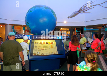 Sanibel Island Florida,Bailey Matthews Shell Museum,exhibit exhibition collection,information,collection,product products display sale,globe,Earth,gir Stock Photo