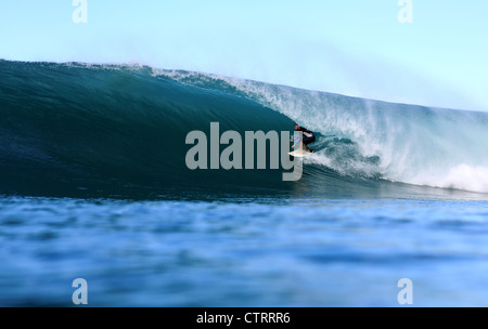 Surfing inside the tube on a wave at Lagundri Bay on Nias Island, North Sumatra. Stock Photo