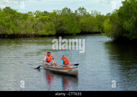Naples Florida,Tamiami Trail,Collier Seminole State Park,Everglades Trail Nature Site,Blackwater River water,mangroves,rental canoe,teen teens teenage Stock Photo