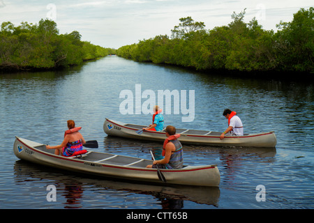 Naples Florida,Tamiami Trail,Collier Seminole State Park,Everglades Trail Nature Site,Blackwater River water,mangroves,rental canoe,teen teens teenage Stock Photo