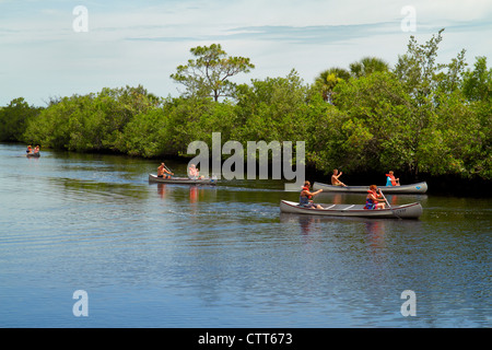 Naples Florida,Tamiami Trail,Collier Seminole State Park,Everglades Trail Nature Site,Blackwater River water,mangroves,rental canoe,teen teens teenage Stock Photo