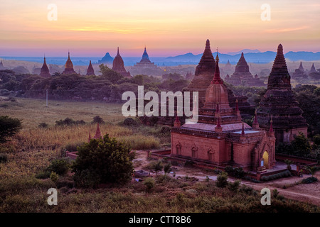 Myanmar, Burma, Bagan. Temples in Early Morning. Stock Photo