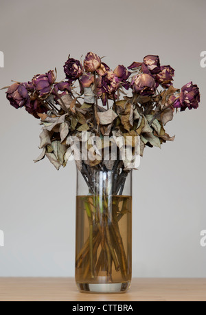 DEAD FLOWERS in vase Still Life - Dead Roses Concept Stock Photo