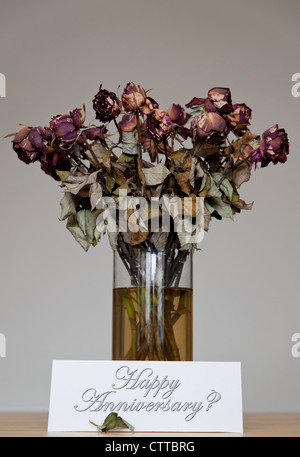 Vase of DEAD ROSES with a card reading 'Happy Anniversay?' in front of it.  Dead Flowers Concept, Still Life image Stock Photo