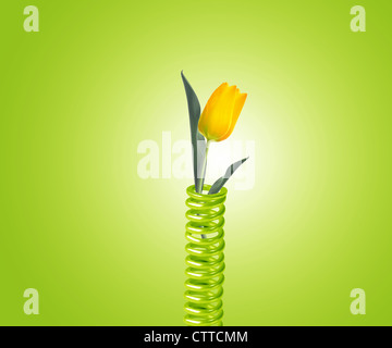 green metal spring with yellow tulip. Stock Photo