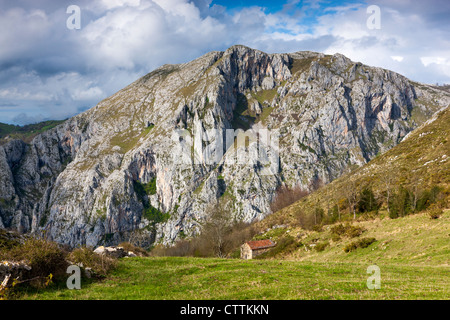 A view near Carbes on the western outskirts of the Picos de Europa National Park, Asturias, Spain Stock Photo