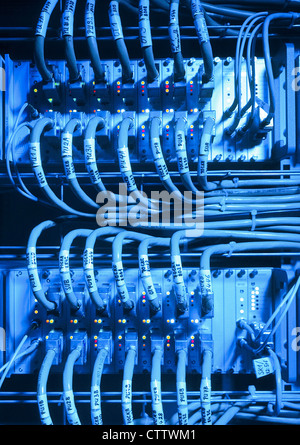 Switch im Schaltschrank - Netzwerk Steuerung mit vielen Kabel Stock Photo