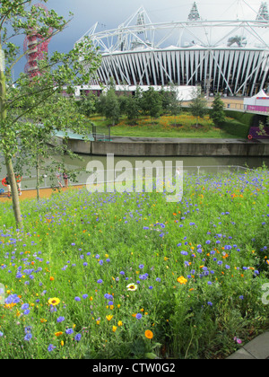 WILD FLOWERS near the Stadium at the Olympic Park, Streatham, London in July 2012. Photo Tony Gale Stock Photo