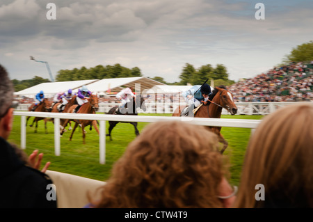 Horseracing at the Royal Ascot. Stock Photo