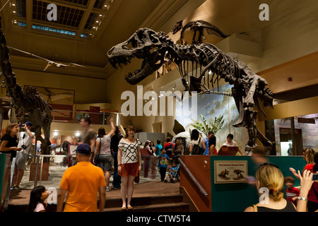 T rex exhibit - Natural History Museum, Washington, DC Stock Photo