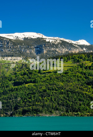 View onto Lake Thun toward the Beatenberg, Bernese Oberland (Bernese Highlands, Berner Oberland), canton of Bern , Switzerland. Stock Photo