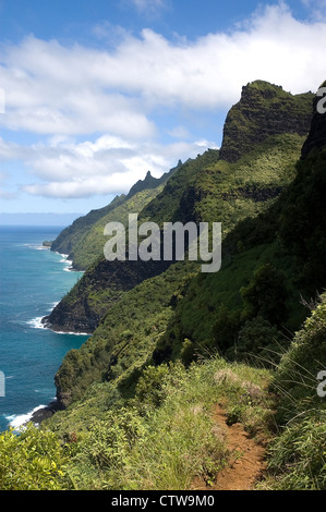 Elk284-8030v Hawaii, Kauai, Na Pali Coast, along Kalalau Trail, Waiahuakua Valley landscape Stock Photo