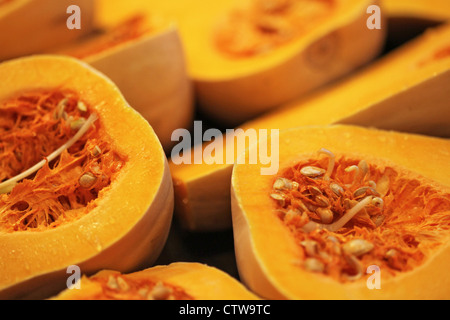 bright orange butternut squash cut in half Stock Photo