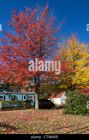 Autumn Color in Eastern Maine near Freeport, Maine. Stock Photo