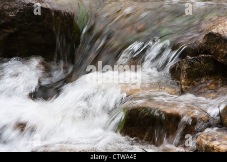 Rainy day on Block Creek - at Block Creek Natural Area in Central Texas. Stock Photo