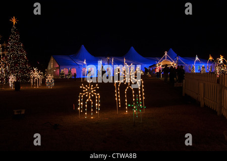 Christmas Lights at night in The Woodlands, Texas. Stock Photo