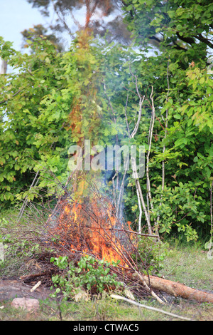 bonfire, campfire in the summer forest Stock Photo - Alamy