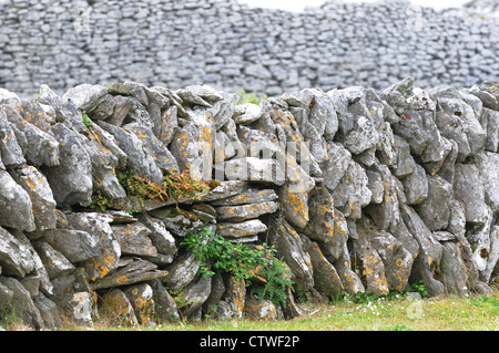 Burren, County Clare, Ireland. Stone walls mark land boundaries and help keep livestock in one place. Stock Photo