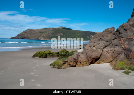 The Pacific Ocean is running on Allan's Beach at Otago Peninsula in New Zealand. Die Wellen des Pazifik branden an Allan's Beach Stock Photo