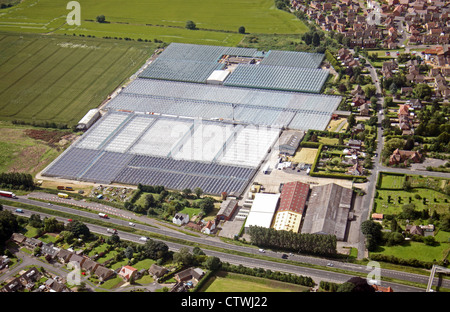 aerial view of commercial greenhouses in Yorkshire Stock Photo