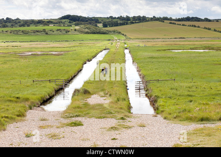 The conservation and wildlife protection wetland between Cley and Salthouse on the 'North Norfolk Coast' 'Great Britain' Stock Photo