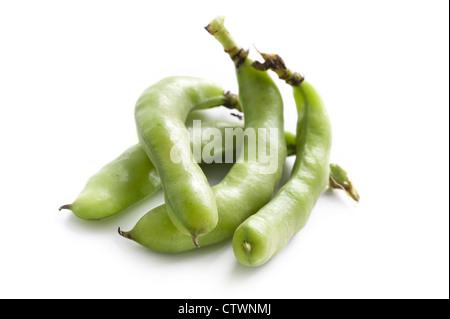 fresh broad beans or fava bean in pods on a white background Stock Photo