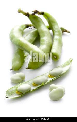 fresh broad beans or fava bean isolated on a white background includes whole pods open pod and shelled beans Stock Photo