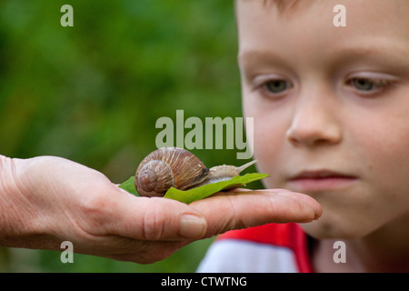 young boy looking closely at a grapevine snail in his mother´s hand Stock Photo