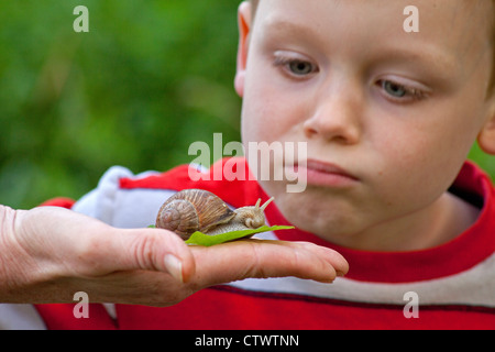 young boy looking closely at a grapevine snail in his mother´s hand Stock Photo