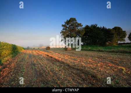 Bales of hay Stock Photo