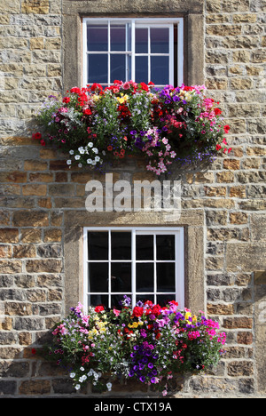 Colourful window boxes outside a stone built house in Masham, Yorkshire, England, UK Stock Photo