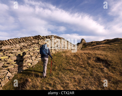 Hill walker by old slate dry stone wall on Lingmoor Fell against blue sky with Cirrus clouds, Lake District, Cumbria, England, UK Stock Photo