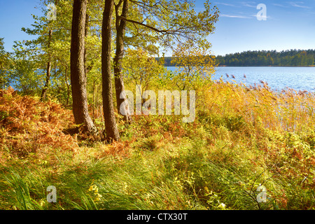 Suwalki Landscape Park, Poland, Europe Stock Photo