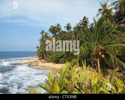Untouched tropical beach with beautiful vegetation in the national wildlife refuge of Gandoca Manzanillo, Caribbean, Costa Rica Stock Photo