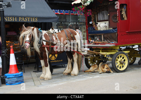 traditional travelling gypsy in Wells town center Somerset UK Stock ...