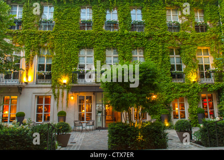 Paris, France, Garden, Outside Luxury Hotel exterior, 'Le pavillon de la Reine', (Place des Vosges), in the Marais District Ivy Stock Photo