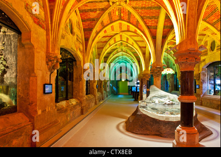 The recently refurbished Sea Life Centre, Brighton, East Sussex, UK showing the magnificent brick work vaulted ceiling Stock Photo