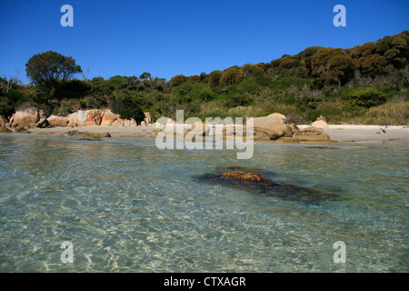 Crystal clear sea at Burns Bay, St.Helen's Point near St.Helen's, Tasmania Stock Photo