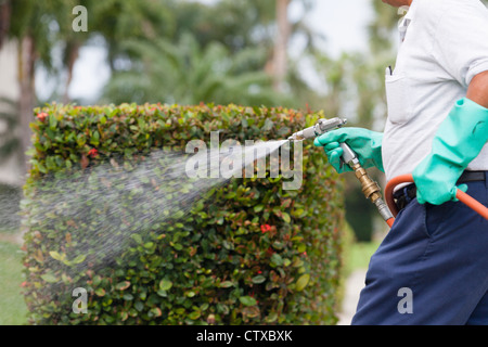 Pest control technician using high pressure spray gun and hose with heavy duty gloves Stock Photo