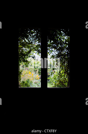 Overgrown garden view through Glass windows in a front door. Silhouette Stock Photo