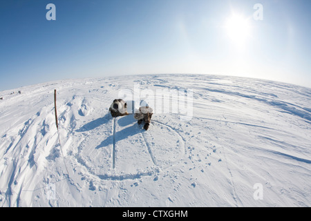 building an iglo on the north pole Stock Photo