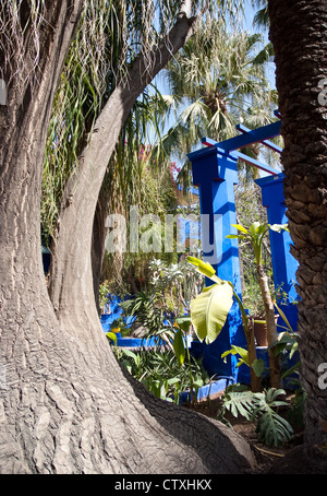 The Majorelle Garden is a twelve-acre botanical garden and artist's landscape garden in Marrakech, Morocco. Stock Photo