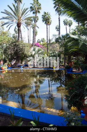 The Majorelle Garden is a twelve-acre botanical garden and artist's landscape garden in Marrakech, Morocco. Stock Photo