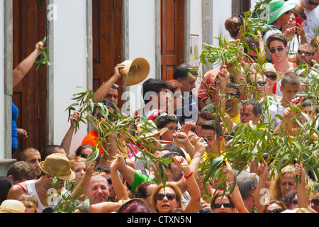 Photos from the Bajada de La Rama festival in Agaete and Puerto de las Nieves in Gran Canaria. Stock Photo