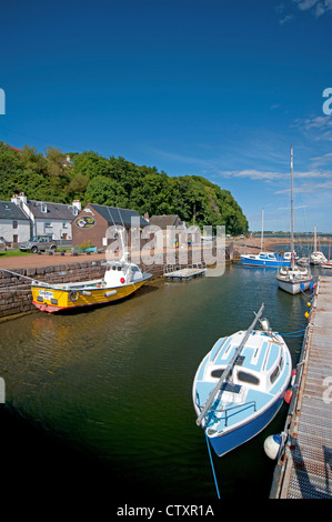 Avoch harbour on the Moray Firth offers dolphin watching boat trips. SCO 8275 Stock Photo