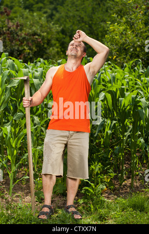 Sweating working young farmer with a hoe near a corn field Stock Photo