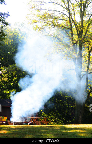 Unattended campfire in a forest camp site Stock Photo