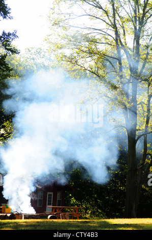 Unattended campfire in a forest camp site Stock Photo